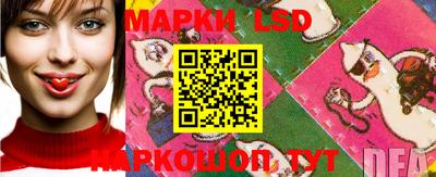 мяу мяу мука Пенза
